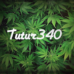 tutur-ago34's Avatar'