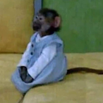 TrapperMonke's Avatar'