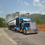 Winkle.Truck's Avatar'