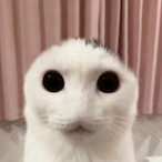 BallyhooMk27's Avatar'