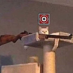 Lipitorhcp's Avatar'