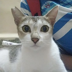 ricky_sumerton's Avatar'