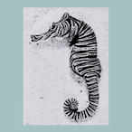 Holotype.'s Avatar'