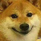 SmugDog.'s Avatar'