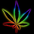 HexedByGxrdo's Avatar'