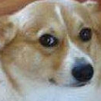 oscar-mike's Avatar'