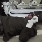 SayCheeseNT's Avatar'