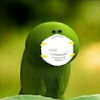 bcqcdcqc2007's Avatar'