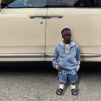 Section8Housing's Avatar'