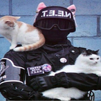 AgentB8.FBI's Avatar'