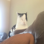 pjaway1979's Avatar'