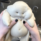 NutRecoil's Avatar'