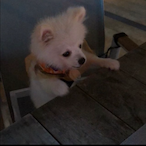 lilrichie101's Avatar'