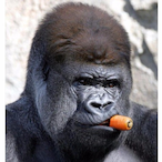 TheOnlyBreadMan's Avatar'