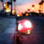 Mr.Shr00mZ's Avatar'