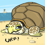 Fat_Turtles's Avatar'