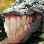 Smizee's Avatar'