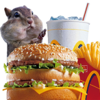 I_am_a_Squirrel's Avatar'