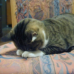 scrimsicle's Avatar'