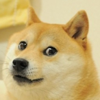 DogeWasntTaken's Avatar'