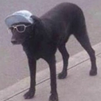 badabapbapbaa's Avatar'