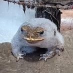 JabulaniJesus's Avatar'