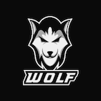 Wolf-LEB's Avatar'