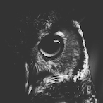 BlovtaingBuble1's Avatar'