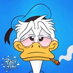 Void6948's Avatar'