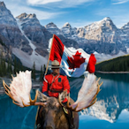 DeathlyCanadian's Avatar'