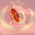 grandmahitter's Avatar'