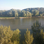 quantumseason's Avatar'