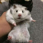 misakaandgekota's Avatar'