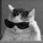 ScorpiioTTV's Avatar'