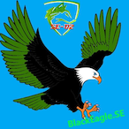 BlackEagle.SE's Avatar'