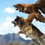 Brandon_2005_'s Avatar'