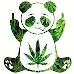 xVjle17's Avatar'