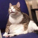 HamSammichJr's Avatar'