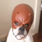 TheRelaxing's Avatar'