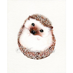 Nat-Figger22's Avatar'