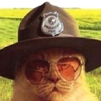 LoszkaKokoszka's Avatar'