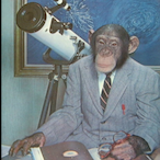TelescopicMonke's Avatar'