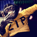 Urameshi12's Avatar'