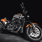 larpmycronus's Avatar'