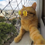 UhMeatball's Avatar'