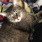 DrHopsALot's Avatar'