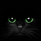 PbIRbIT's Avatar'