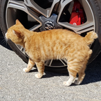 Jaehwan24601's Avatar'