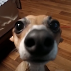 Maru._.che's Avatar'