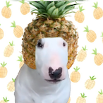 PIN3APPL3._.'s Avatar'